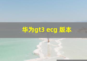 华为gt3 ecg 版本